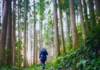 Why Slow Travel Is Becoming More Meaningful Than Traditional Tourism Why Slow Travel Is Becoming More Meaningful Than Traditional Tourism