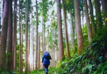 Why Slow Travel Is Becoming More Meaningful Than Traditional Tourism Why Slow Travel Is Becoming More Meaningful Than Traditional Tourism