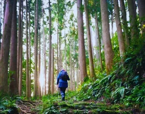 Why Slow Travel Is Becoming More Meaningful Than Traditional Tourism Why Slow Travel Is Becoming More Meaningful Than Traditional Tourism