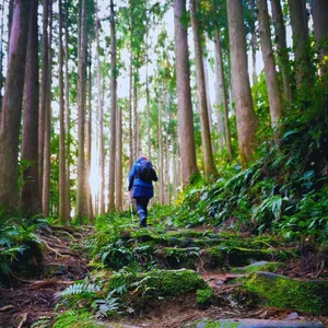Why Slow Travel Is Becoming More Meaningful Than Traditional Tourism Why Slow Travel Is Becoming More Meaningful Than Traditional Tourism