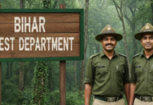 Forest Department Jobs ke Liye Online Apply Kaise Kare van vibhag job vacancy
