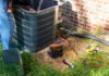 Spring AC Maintenance Checklist: Simple Steps That Keep Your Home Cool All Summer spring ac maintenance checklist